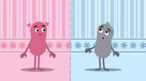 ANIMAÇÃO “O DESAFIO DA IGUALDADE” ESTARÁ EM MOSTRA DE CINEMA NO MARANHÃO